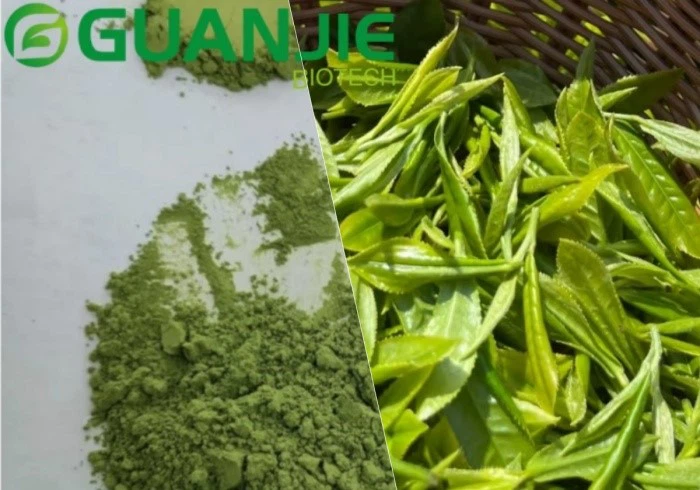 Is Green Tea Powder Better Than Leaves Is Green Tea Powder Better Than Leaves