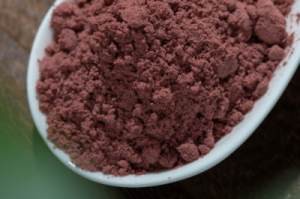 Blackcurrant fruit powder Blackcurrant fruit powder