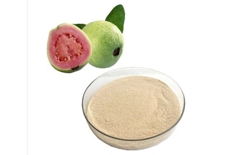 Guava Fruit Powder Guava Fruit Powder