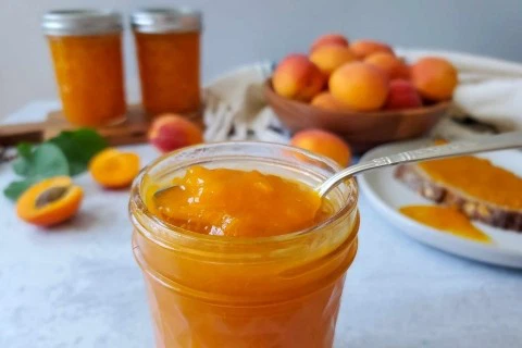 Bulk Freeze Dried Apricot Powder Bulk Freeze Dried Apricot Powder
